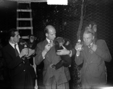 Dierenstewards van de KLM op Wassenaar, Bestanddeelnr 904-7321