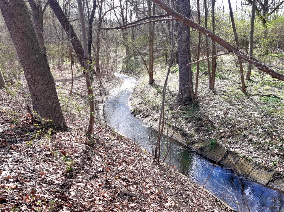 Dieskauer Park Reide