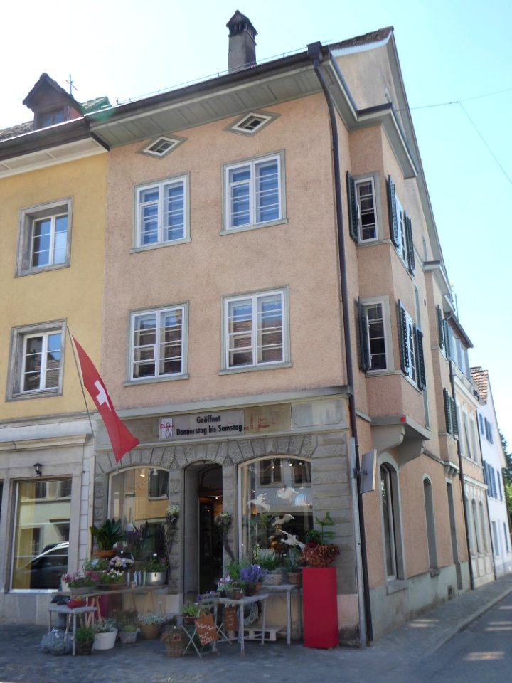 Diessenhofen Basadingerstrasse 1
