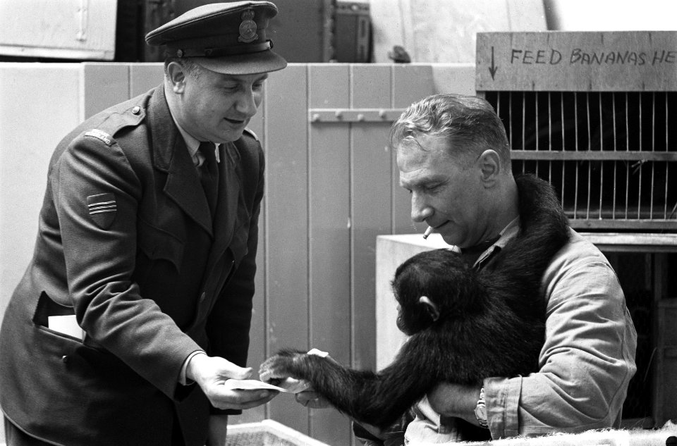 Dierenhotel op Schiphol, Bestanddeelnr 912-5767