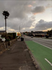 Dominion Road, Auckland, L3 lockdown. April 29 Wed