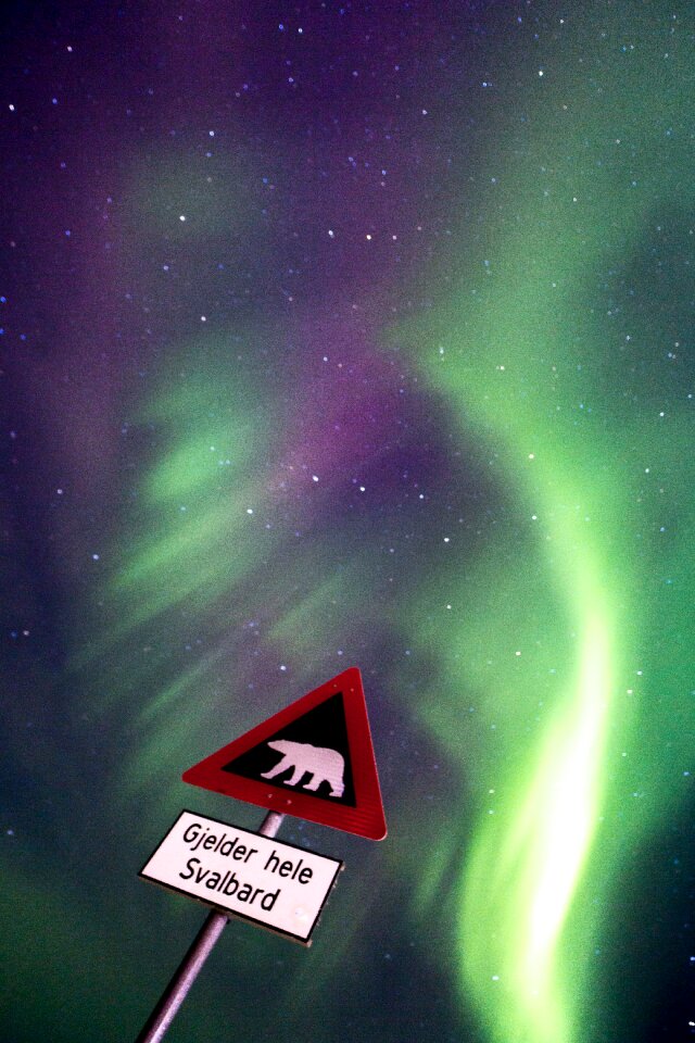 Northen lights blue starry sky alaska
