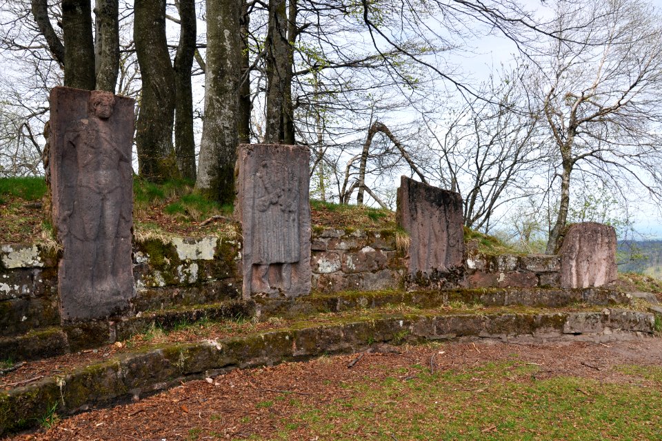 Donon Steles 01 05 2012 5
