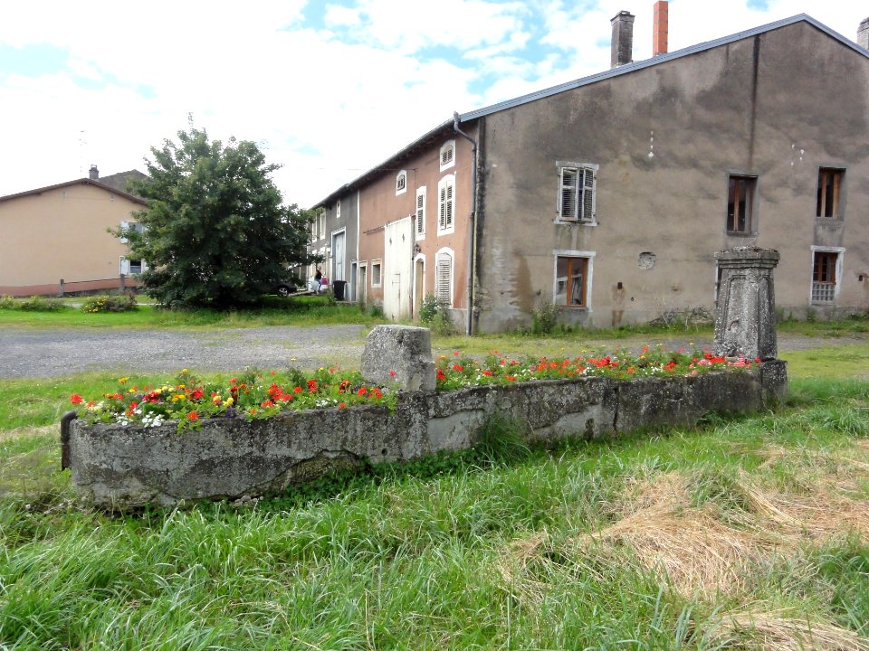 Domjevin (M-et-M) fontaine