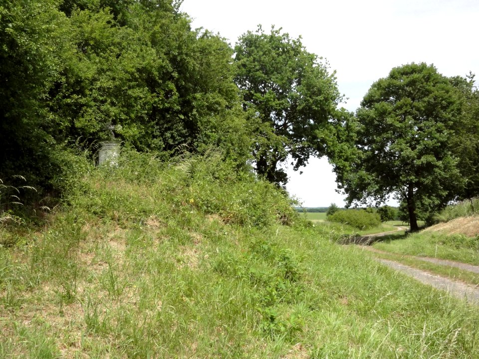 Donnelay (Moselle) paysage avec croix