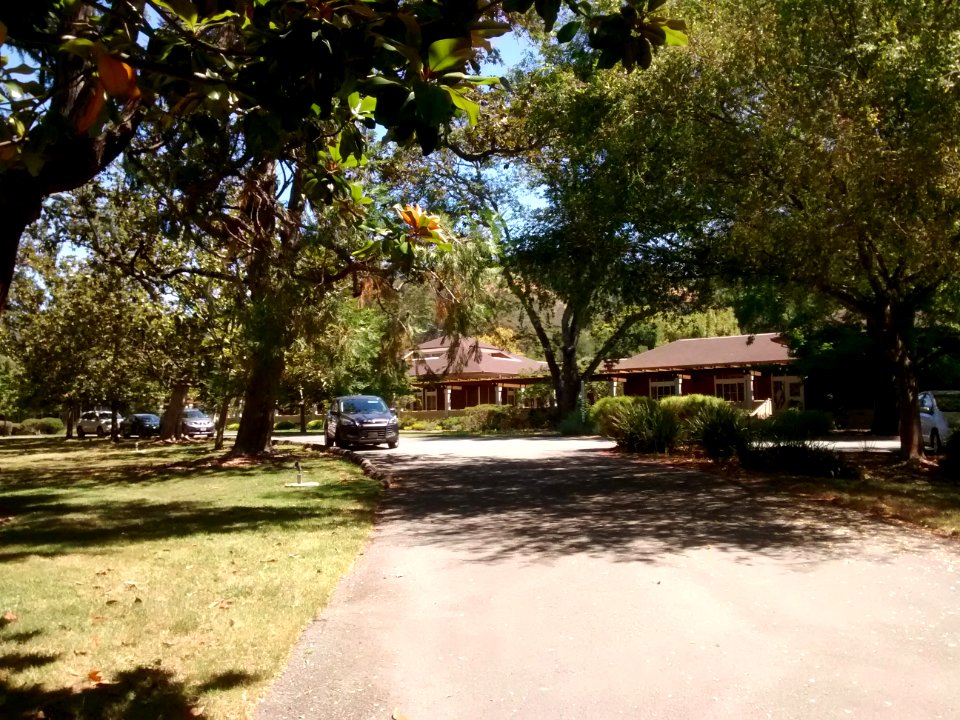 Dominican Sisters Center, San Rafael