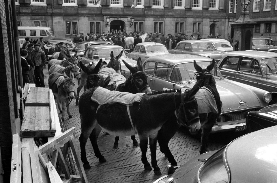 Don Quichotte ( Tom Kelling ) in Amsterdam biedt Burgemeester 11 ton Spaanse sin, Bestanddeelnr 913-6496