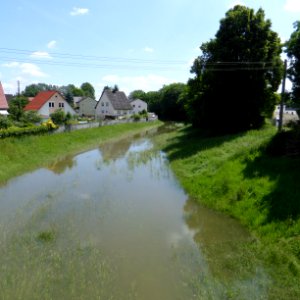 Donauwörth, Flutmulde 3, 1