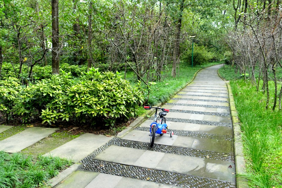 Dongli Cuihu Park - Chengdu, China - DSC05556
