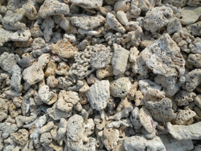 Dongjiao Town - coral beach - 01