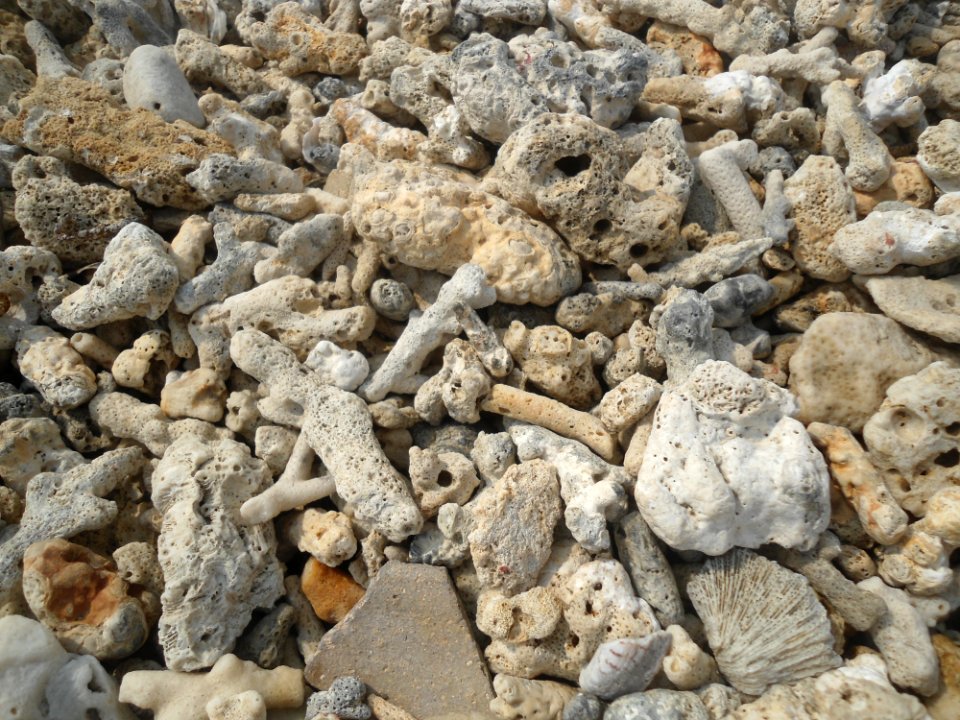 Dongjiao Town - coral beach - 05