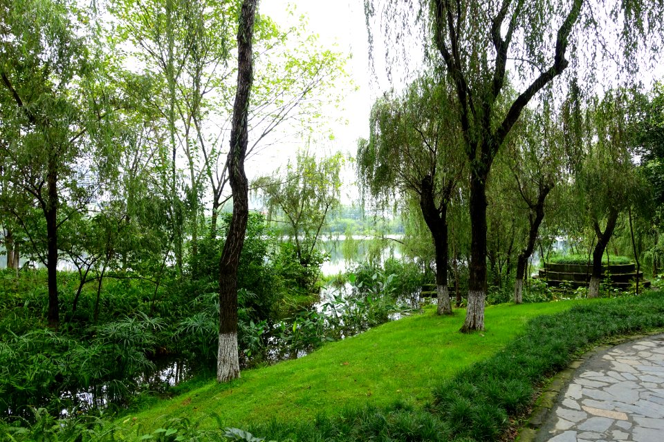 Donghu Park - Chengdu, China - DSC05657