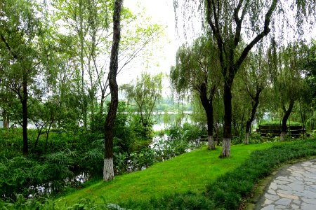 Donghu Park - Chengdu, China - DSC05657