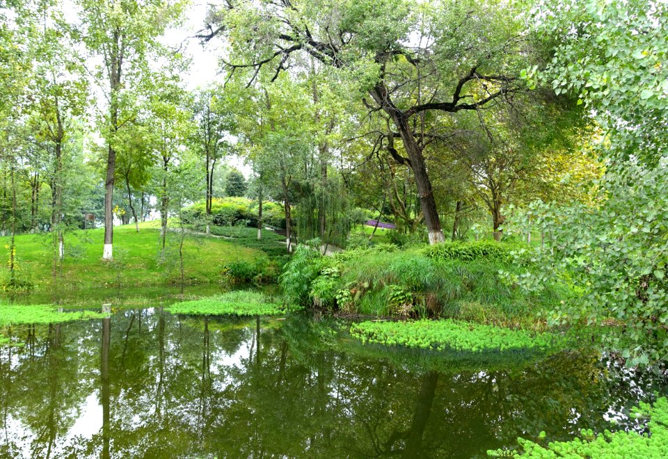 Donghu Park - Chengdu, China - DSC05625