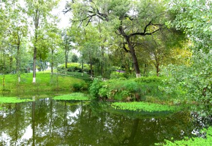 Donghu Park - Chengdu, China - DSC05625