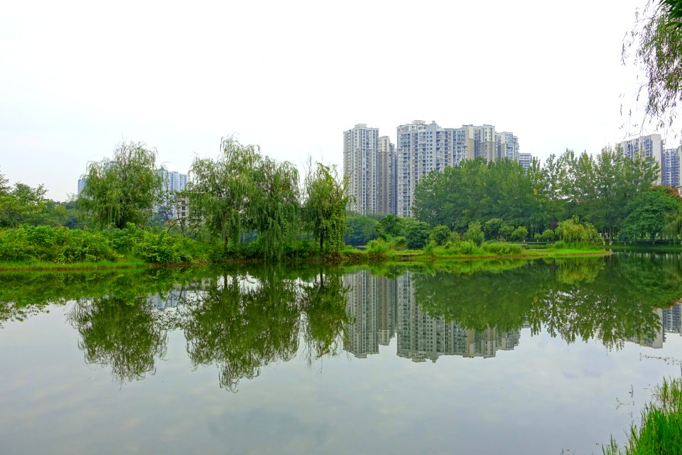 Donghu Park - Chengdu, China - DSC05601