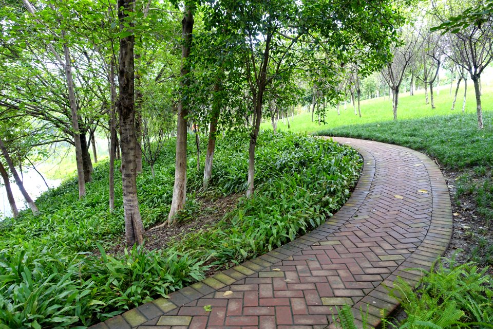 Donghu Park - Chengdu, China - DSC05643