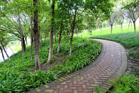 Donghu Park - Chengdu, China - DSC05643