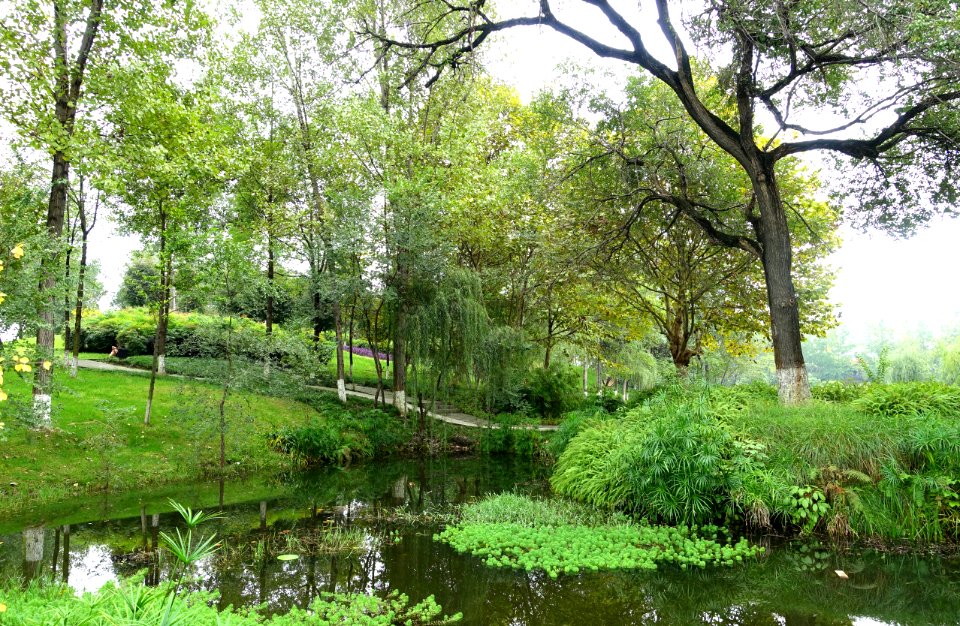 Donghu Park - Chengdu, China - DSC05629