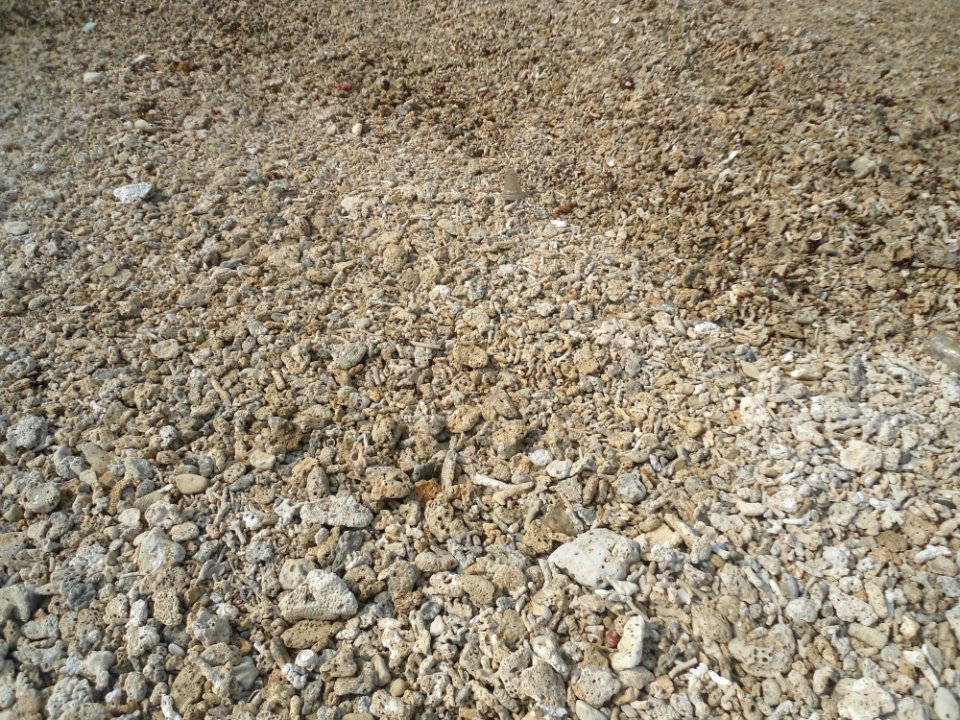 Dongjiao Town - coral beach - 02