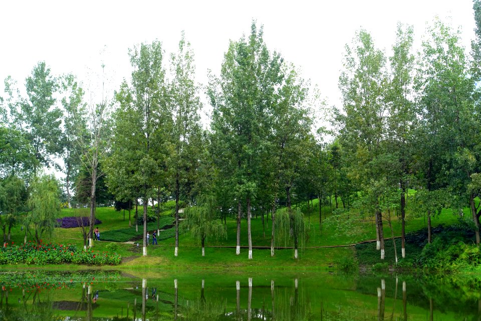 Donghu Park - Chengdu, China - DSC05608