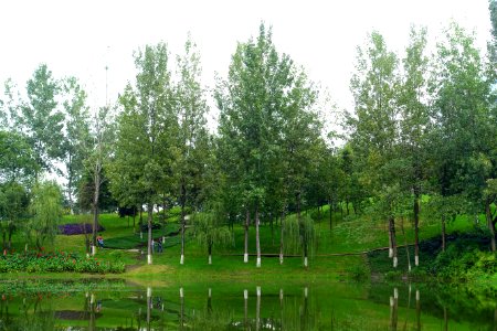 Donghu Park - Chengdu, China - DSC05608