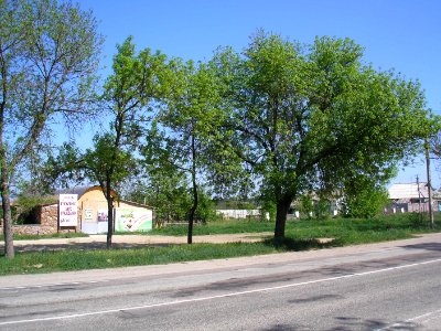 Donskoe 7