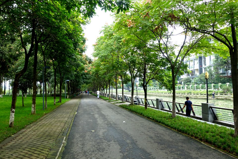 Donghu Park - Chengdu, China - DSC05588
