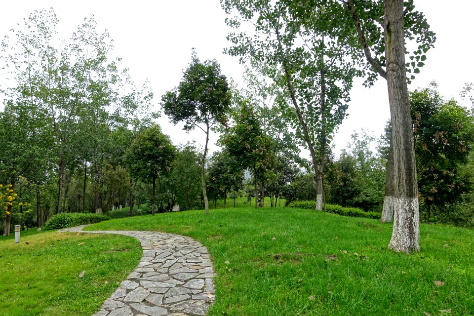 Donghu Park - Chengdu, China - DSC05636