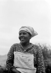 Donkere vrouw met hoofddoek, Bestanddeelnr 255-9593 photo