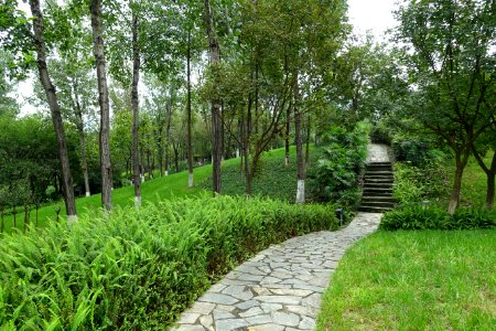 Donghu Park - Chengdu, China - DSC05639