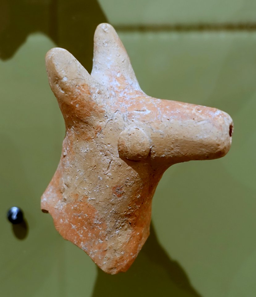 Donkey figurine with open mouth for pouring, Samaria, Iron Age II, red-slipped terracotta - Harvard Semitic Museum - Cambridge, MA - DSC06040