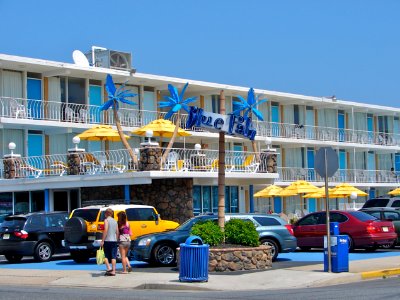 Doo Wop Blue Palms WW NJ