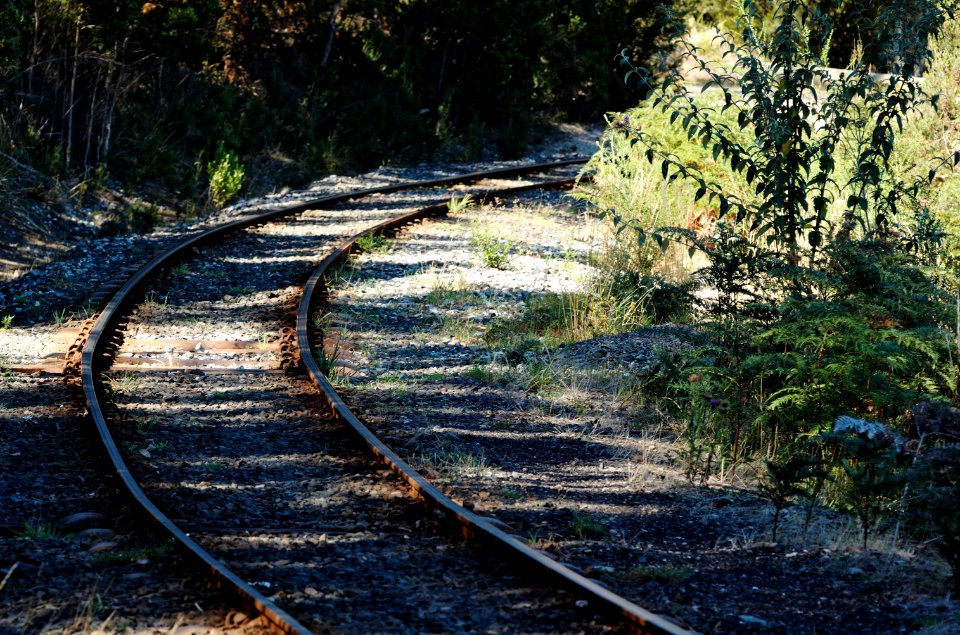 Don-River-Railway-track-20070318-013