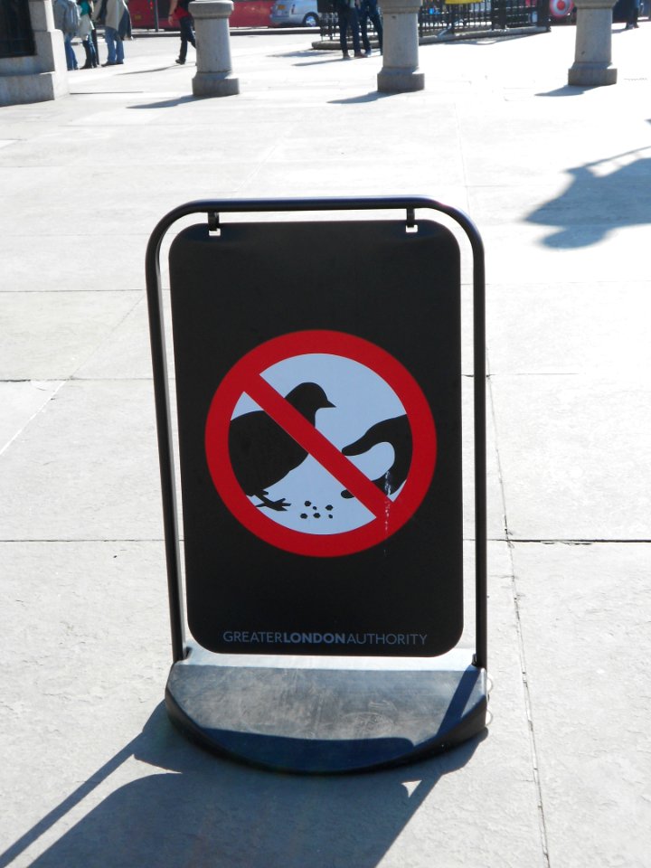 DontFeedThePigeons