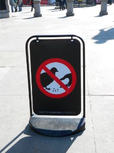 DontFeedThePigeons