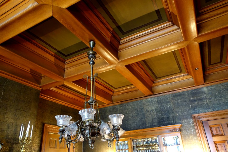 Dining room ceiling - Haas-Lilienthal House - San Francisco, CA - DSC04983