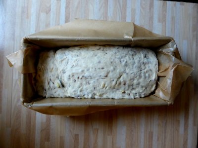 Dinkelbrot-2-Teig