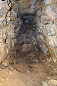 Donaka Kofun Group-2, genshitsu-1