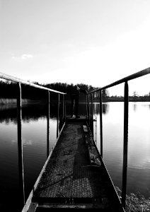 Don T Jump (220230405)