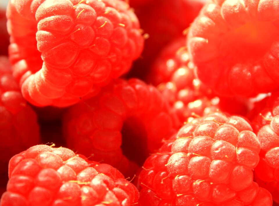 Pink food fruit