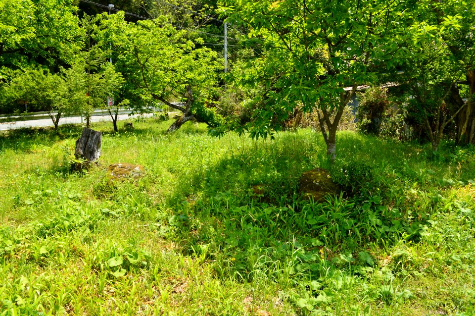 Donaka Kofun Group-3, sekishitsu
