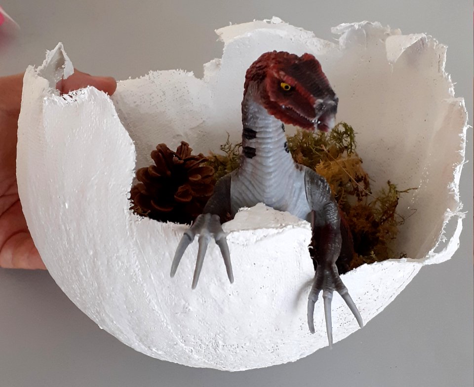 Dinosaur egg