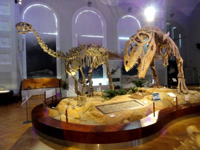Dinosaur room - Finnish Museum of Natural History - DSC04545