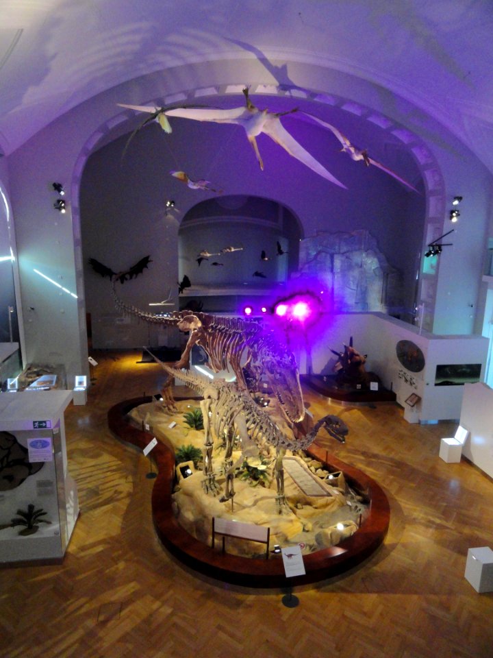 Dinosaur room - Finnish Museum of Natural History - DSC04540
