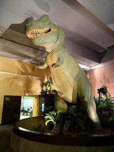 Dinosaur exhibit - Springfield Science Museum - Springfield, MA - DSC03326
