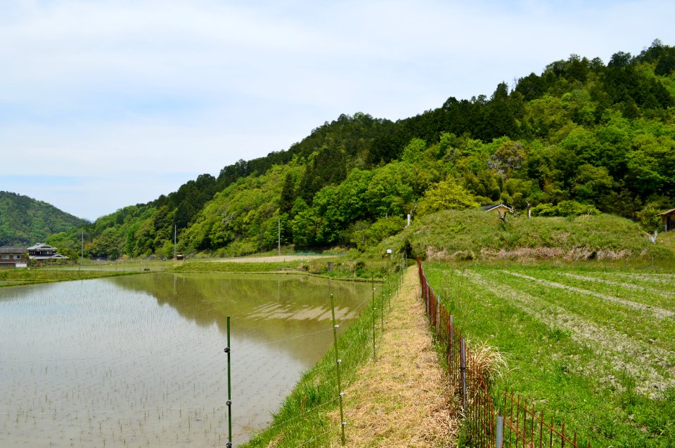 Donaka Kofun Group, zenkei-1