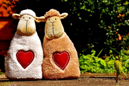 Valentine's day cute together