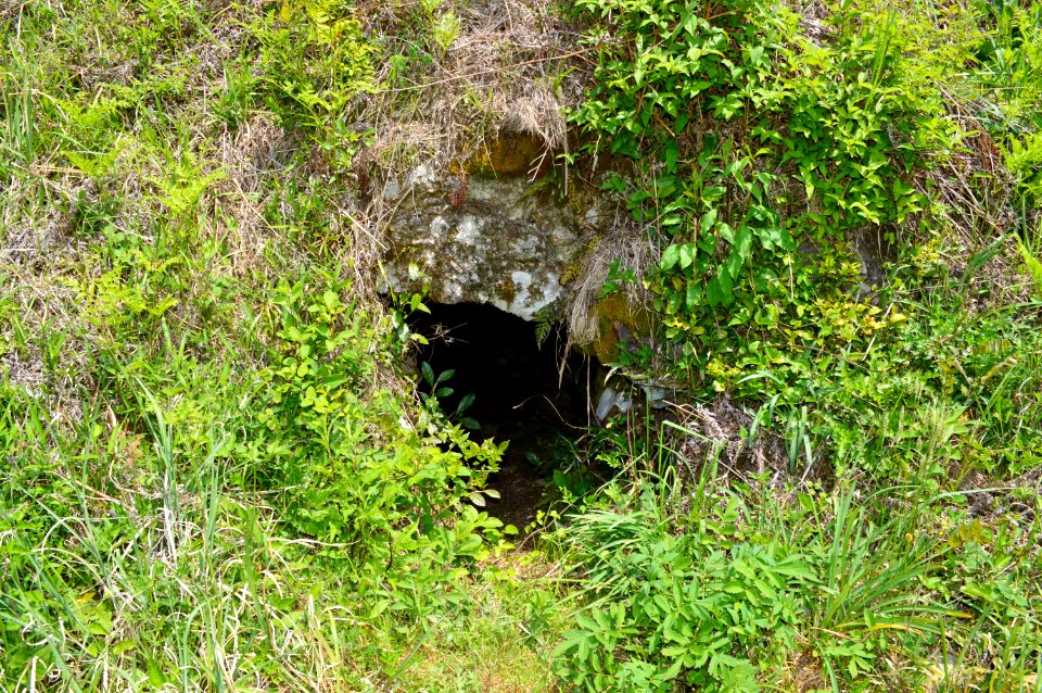 Donaka Kofun Group-2. entrance
