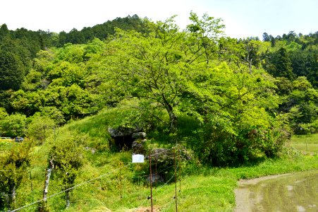Donaka Kofun Group-1, funkyu